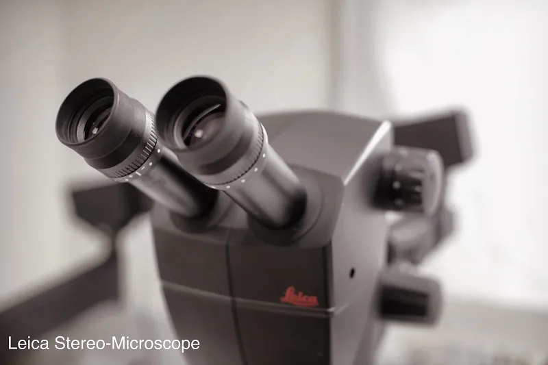 microscope used in office